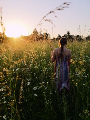 Midsummer Holiday